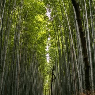 穿越山谷游戏下载